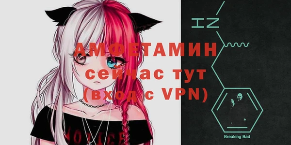 гашик Переславль-Залесский