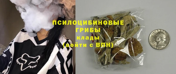 мяу мяу мука Пересвет