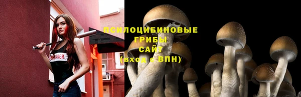 стаф Осташков