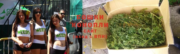 PSILOCYBIN Остров