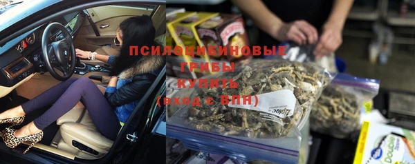 стаф Осташков