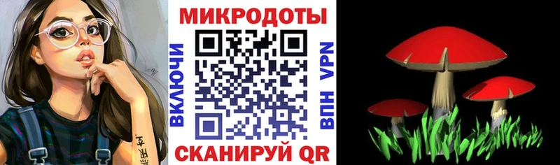 Галлюциногенные грибы прущие грибы Суоярви
